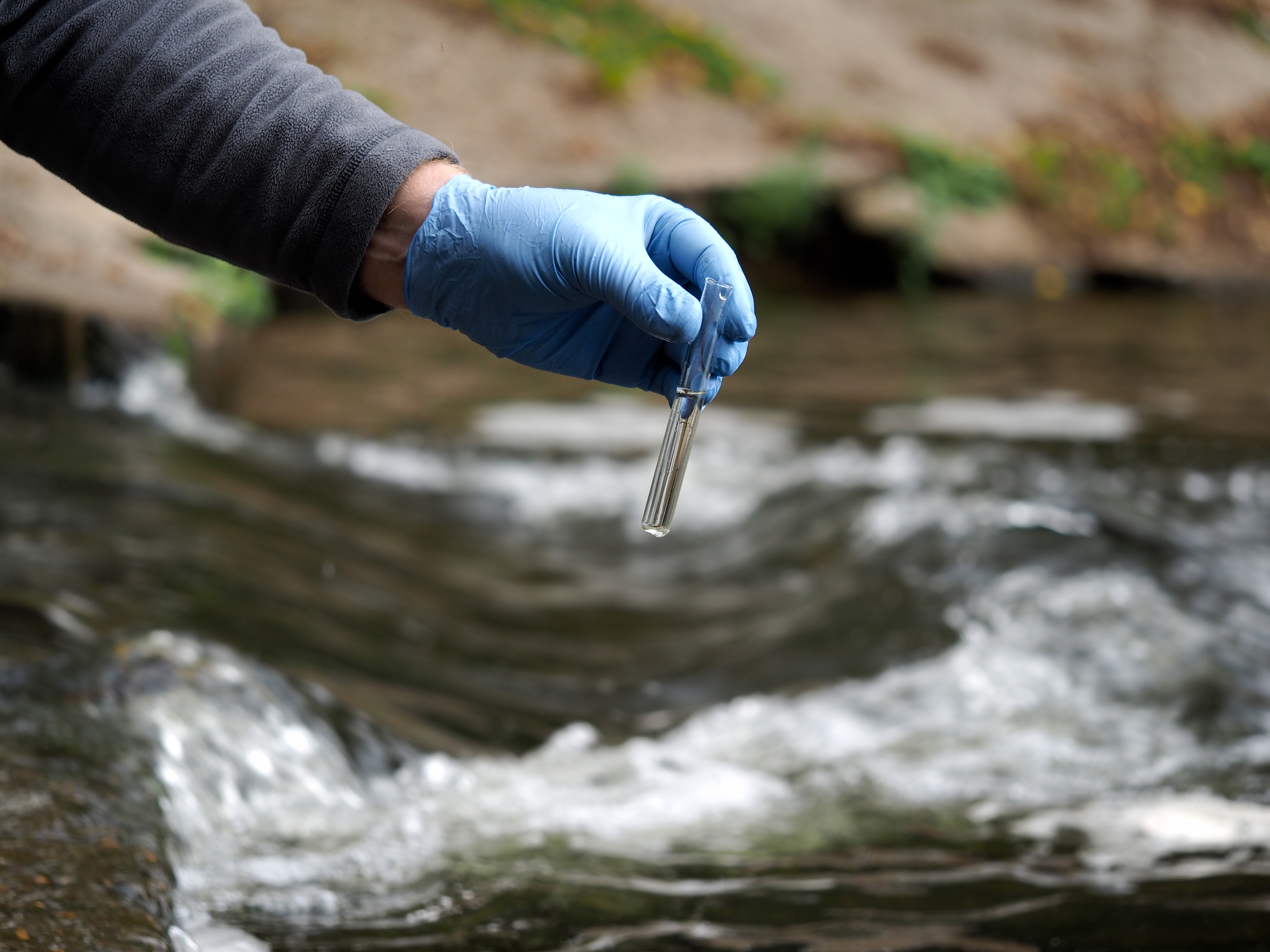 Environmental Studies